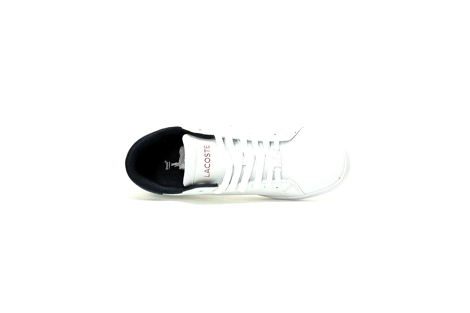 kakofindlist.com Lacoste White Logo Low Top 0284 White low-top product image thumbnail 3